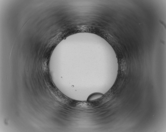 X0000102230611200808221309