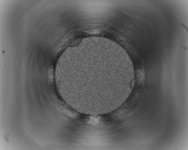 X0000102230612200808221309