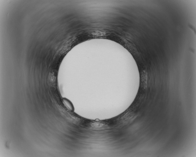 X0000102230614200808221309