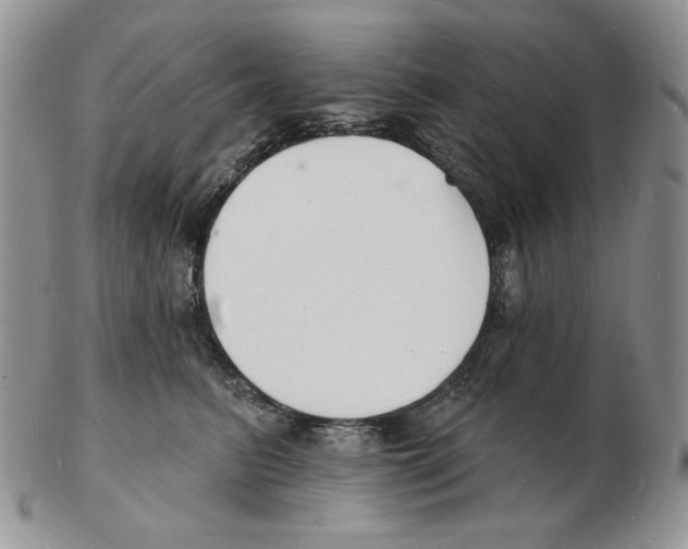 X0000102230615200808221309