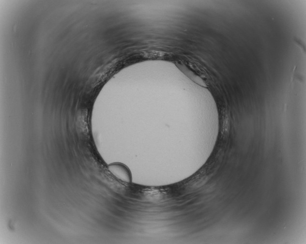 X0000102230616200808221309