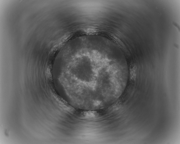 X0000102230618200808221309
