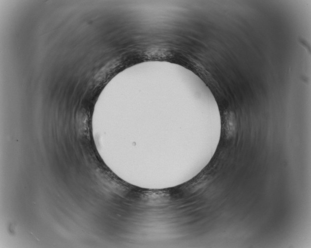 X0000102230619200808221309