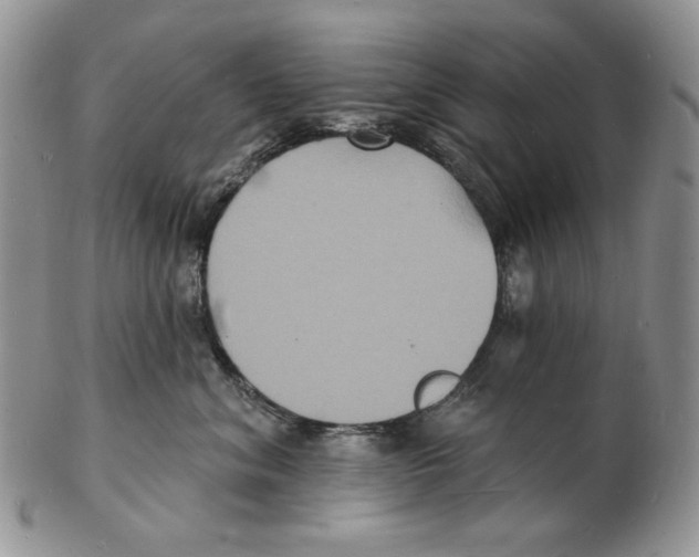 X0000102230620200808221309