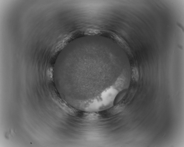 X0000102230621200808221309