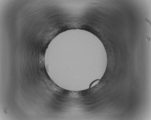 X0000102230624200808221309