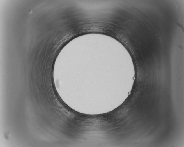X0000102230625200808221309