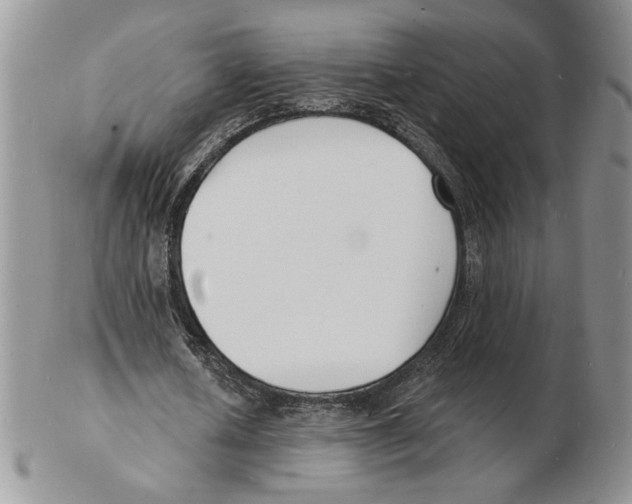 X0000102230626200808221309