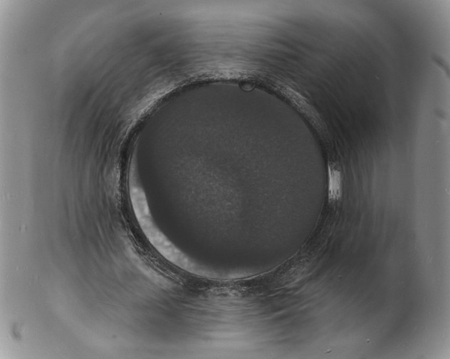 X0000102230627200808221309