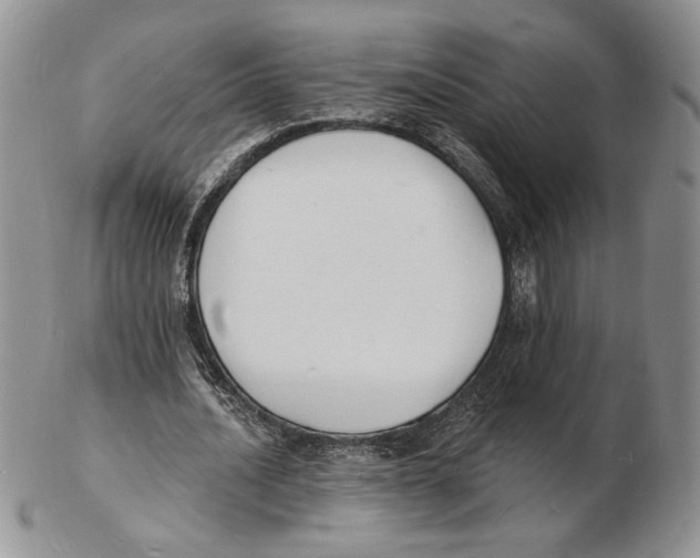 X0000102230628200808221309