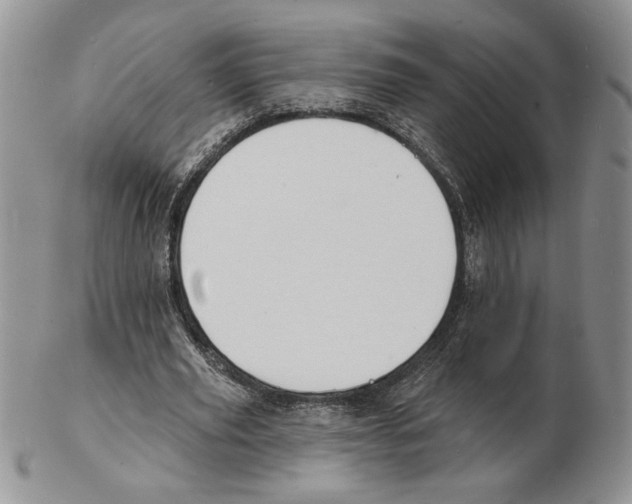 X0000102230629200808221309