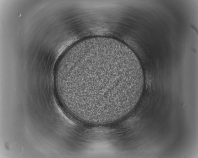 X0000102230630200808221309