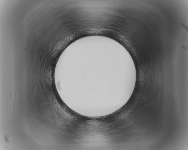 X0000102230633200808221309