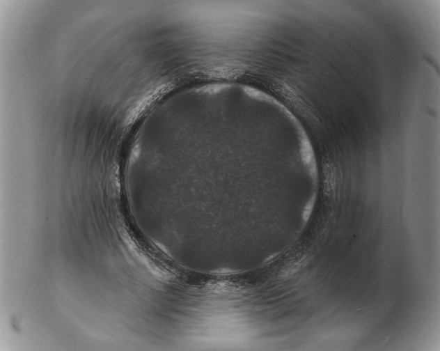 X0000102230634200808221309