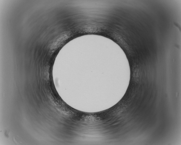 X0000102230635200808221309