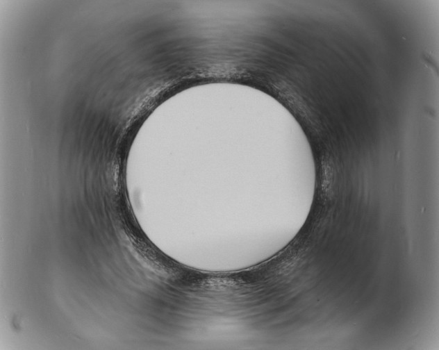 X0000102230636200808221309