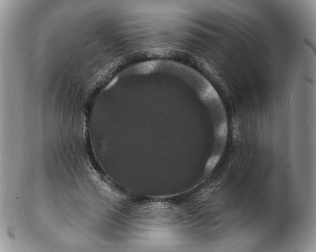 X0000102230637200808221309