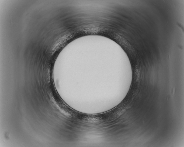 X0000102230638200808221309