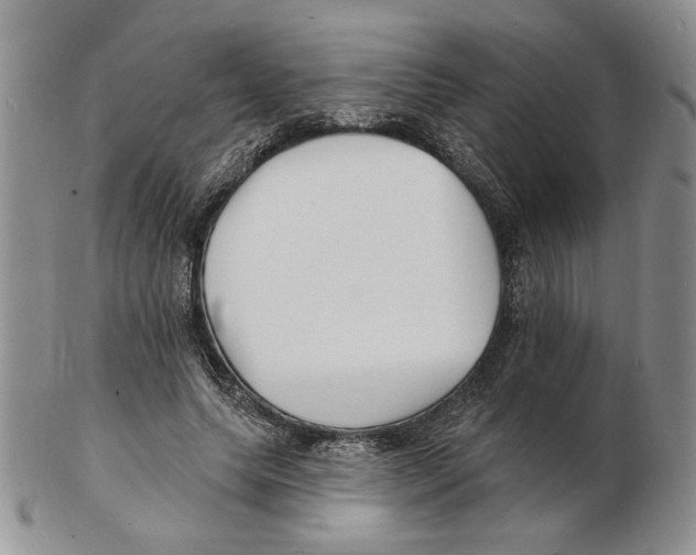 X0000102230639200808221309