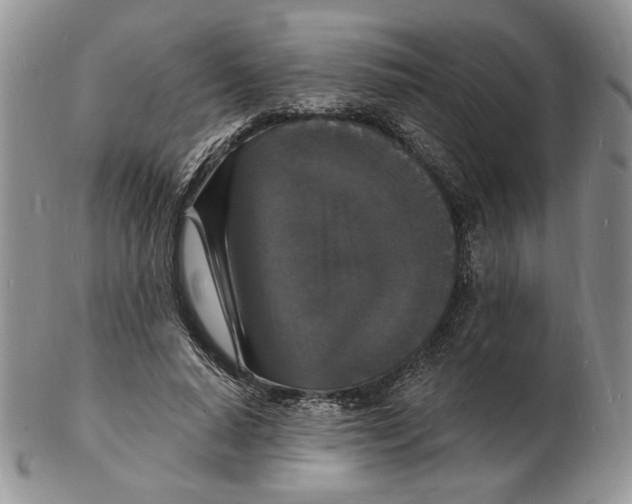 X0000102230640200808221309