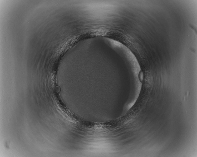 X0000102230641200808221309