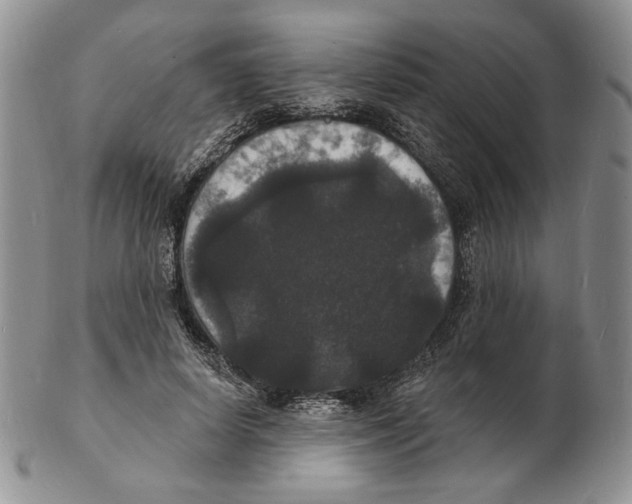 X0000102230642200808221309