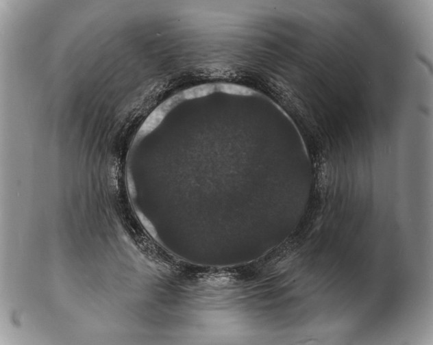 X0000102230643200808221309