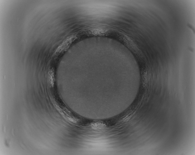 X0000102230644200808221309