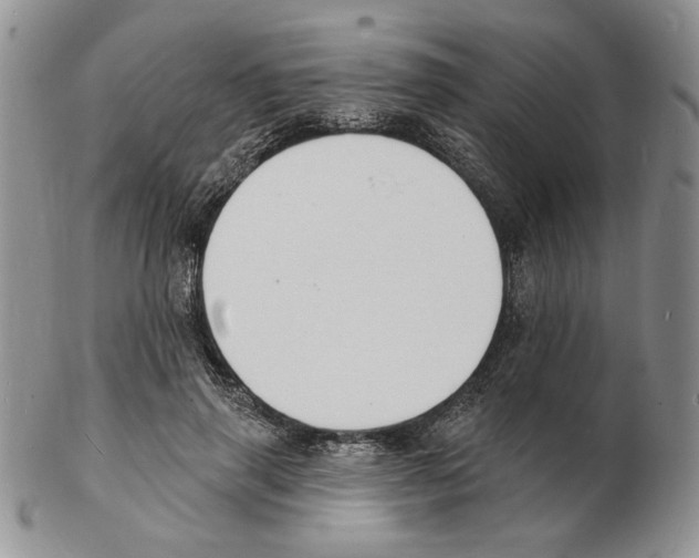 X0000102230645200808221309