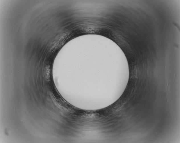 X0000102230646200808221309
