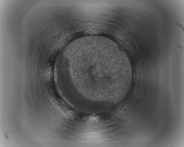 X0000102230647200808221309