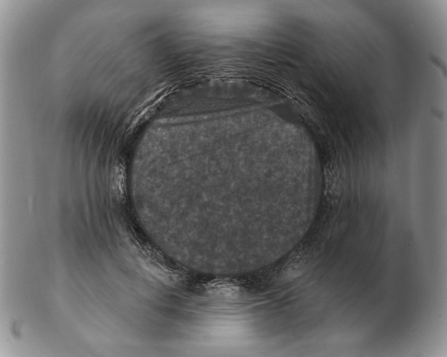 X0000102230648200808221309