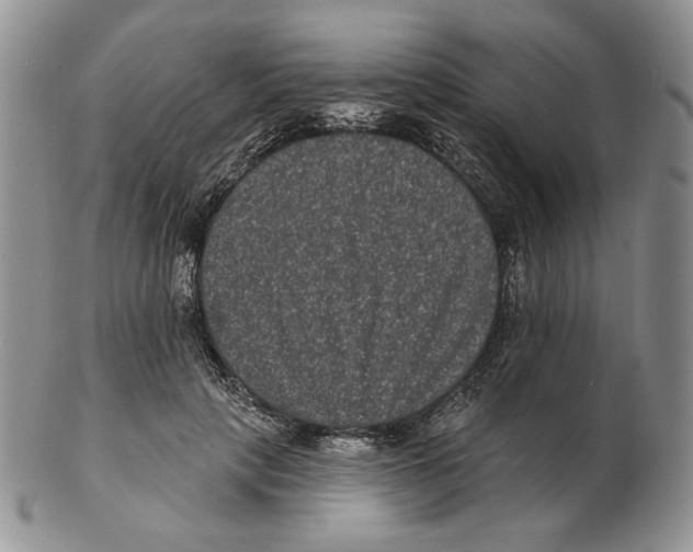 X0000102230649200808221309