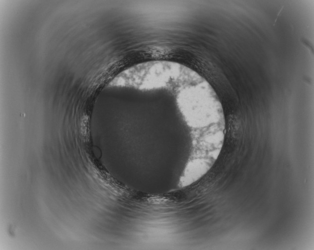X0000102230650200808221309