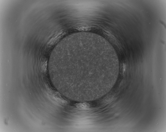 X0000102230652200808221309