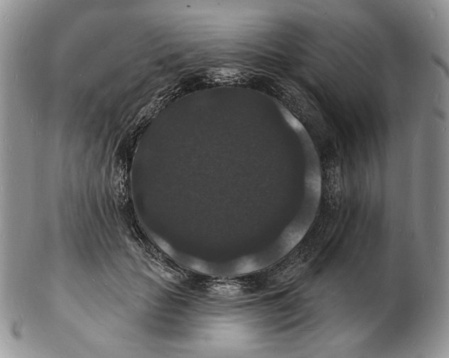 X0000102230653200808221309