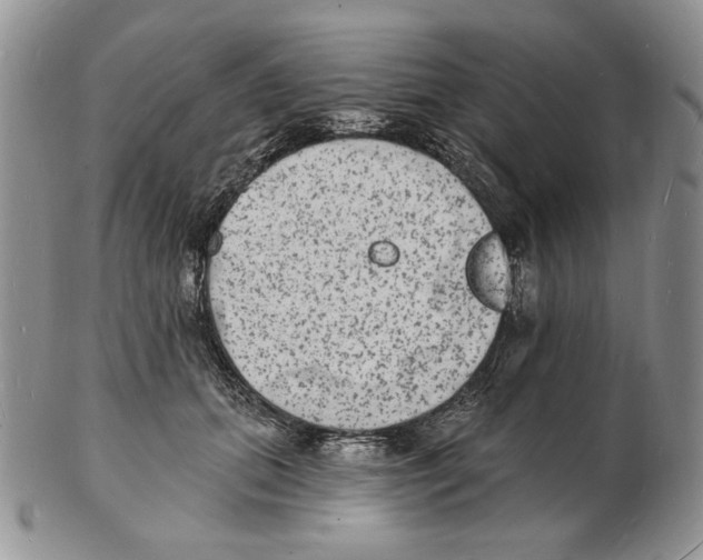 X0000102230655200808221309