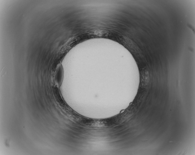 X0000102230656200808221309