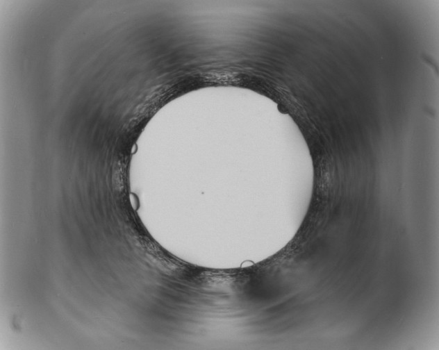 X0000102230658200808221309