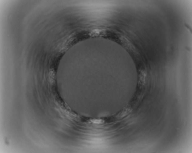 X0000102230659200808221309