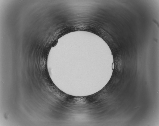 X0000102230660200808221309