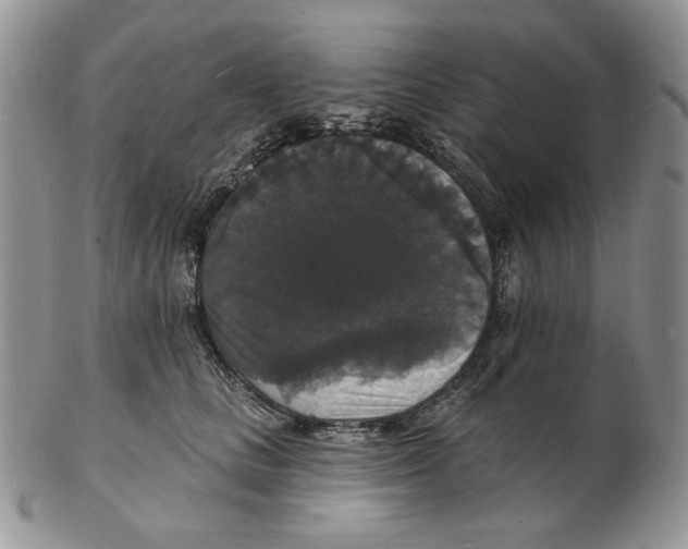 X0000102230661200808221309