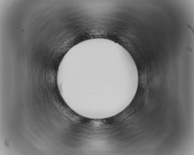 X0000102230662200808221309