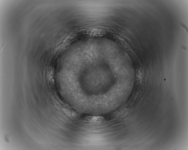 X0000102230663200808221309