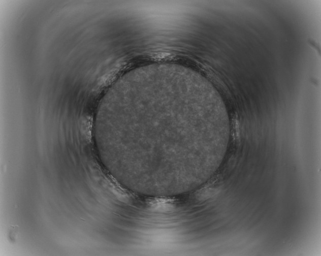 X0000102230664200808221309