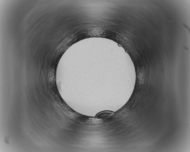 X0000102230665200808221309