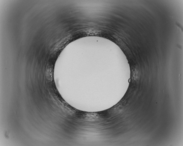 X0000102230666200808221309