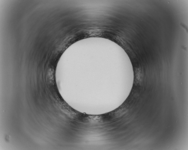 X0000102230667200808221309