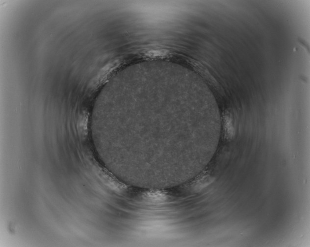 X0000102230668200808221309