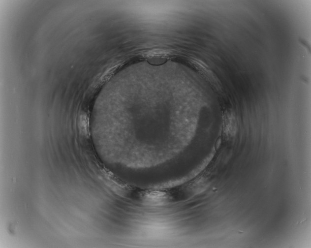 X0000102230669200808221309